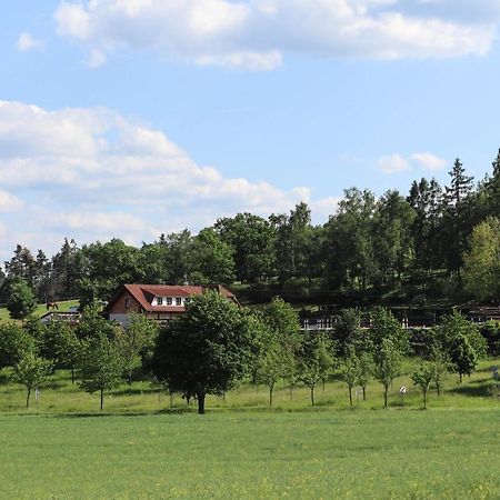 Ubytovani Pod Haniperkem Hotell Vodňany Exteriör bild