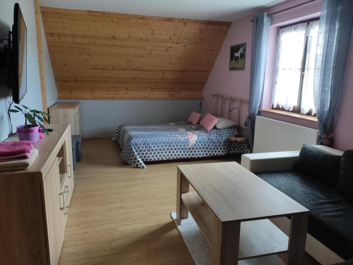 Ubytovani Pod Haniperkem Hotell Vodňany Exteriör bild