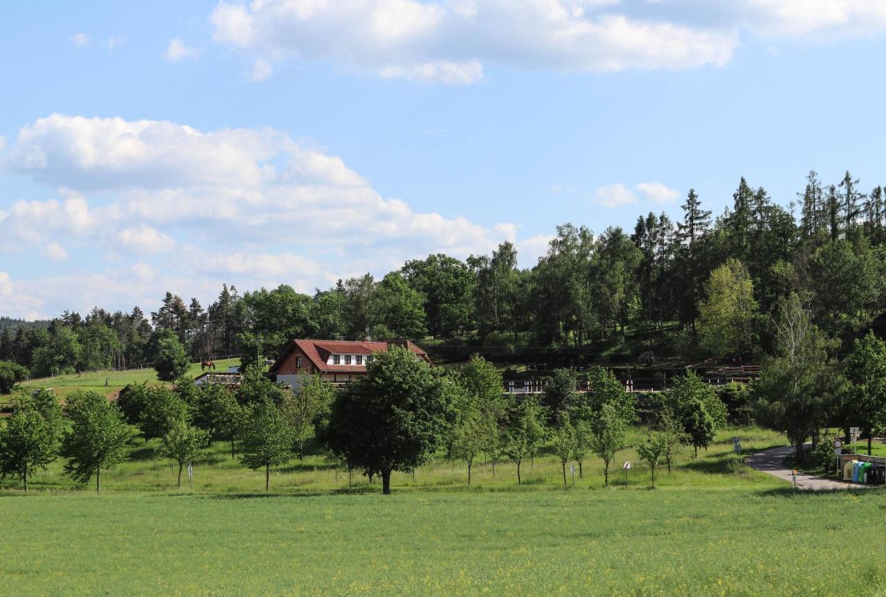 Ubytovani Pod Haniperkem Hotell Vodňany Exteriör bild