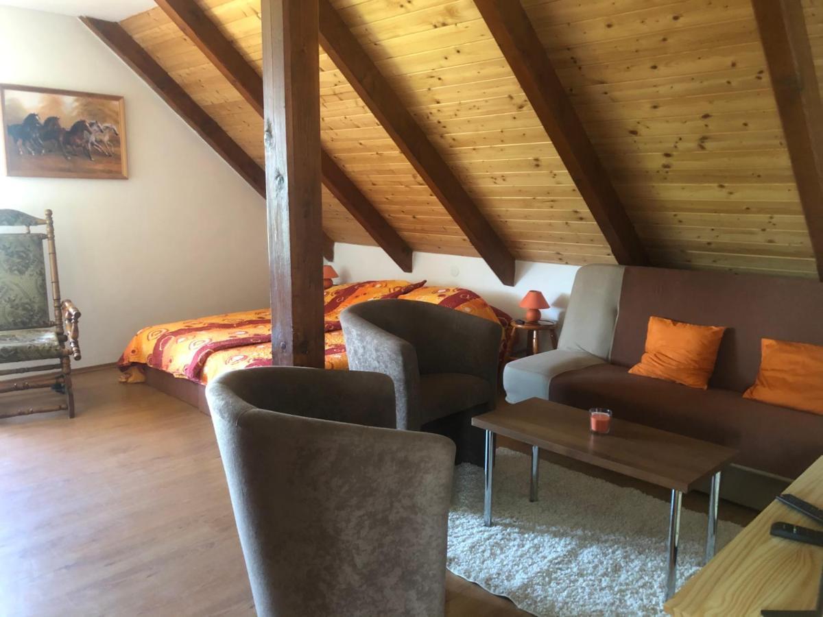 Ubytovani Pod Haniperkem Hotell Vodňany Exteriör bild