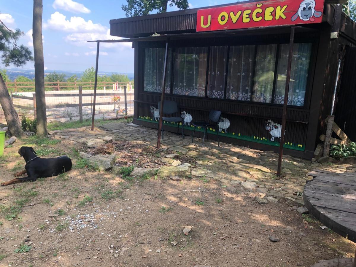 Ubytovani Pod Haniperkem Hotell Vodňany Exteriör bild